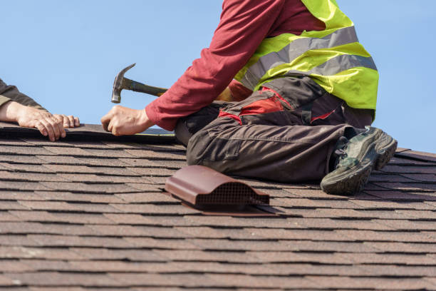 Best Metal Roofing Contractor  in Harrisonburg, VA