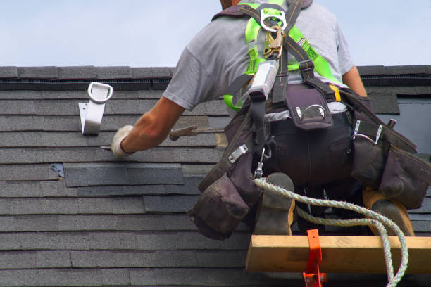 Best Local Roofing Companies  in Harrisonburg, VA