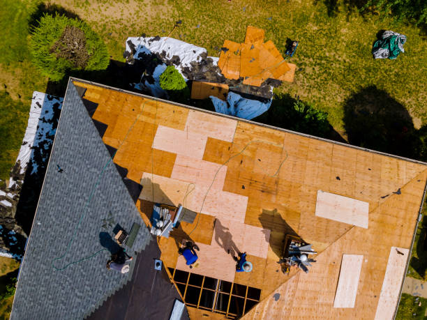 Best Tile Roofing Contractor  in Harrisonburg, VA