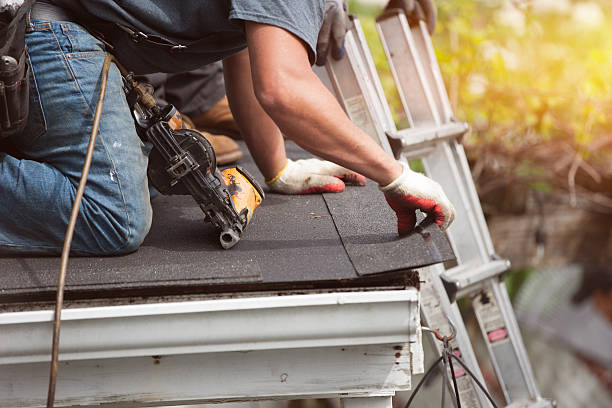 Best Roof Repair Services  in Harrisonburg, VA