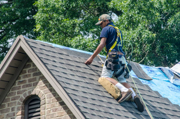 Roof Gutter Cleaning in Harrisonburg, VA